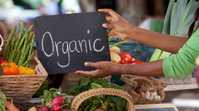 Gati Gaum: Rajasthan’s First Internationally Certified Organic Village in Udaipur